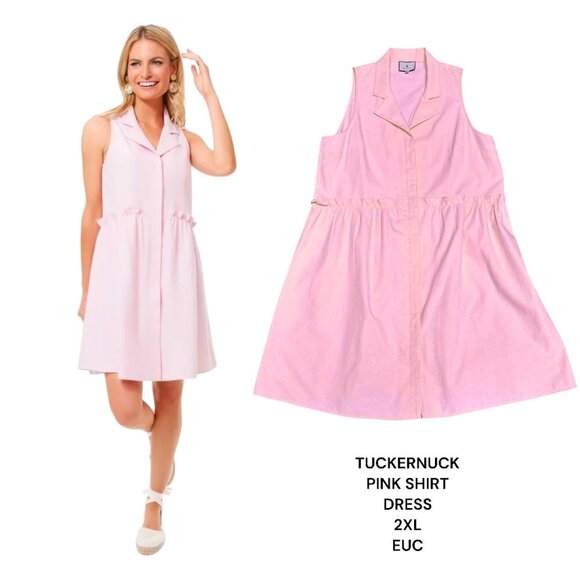 Pink Oxford Sleeveless Royal Shirt‎ Dress TUCKERNUCK PLUS SIZE 2XL EUC - Picture 1 of 4